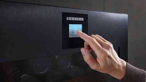 купить Холодильник винный Liebherr WFbli 5041 в Кишинёве 