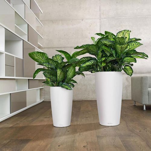 cumpără Ghiveci pentru flori Lechuza Rondo Premium 32, White Matt în Chișinău 