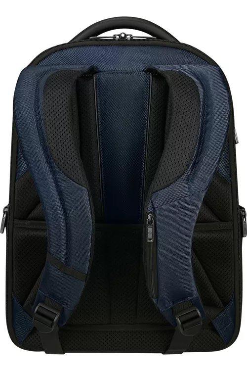 купить Рюкзак для ноутбука Samsonite PRO-DLX 6 (147140/1090) в Кишинёве 