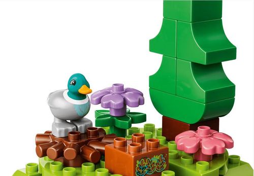 cumpără Set de construcție Lego 10480 Discovery Forest with Wild Animals în Chișinău 