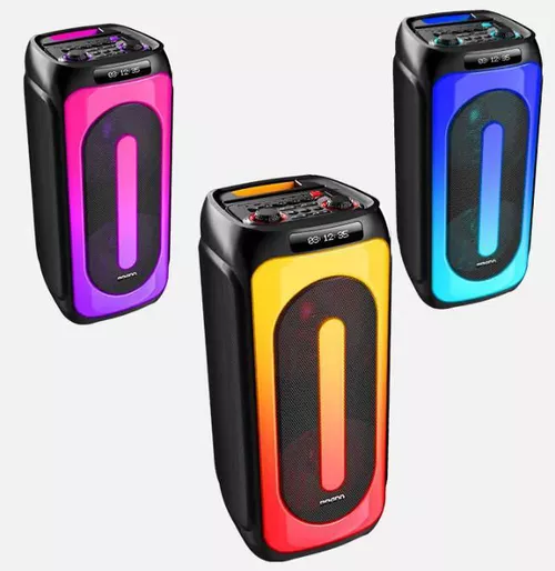купить Колонка портативная Bluetooth Eden Party Speaker ED-1015 with 2 Wireless Microphones 100W, Black в Кишинёве 