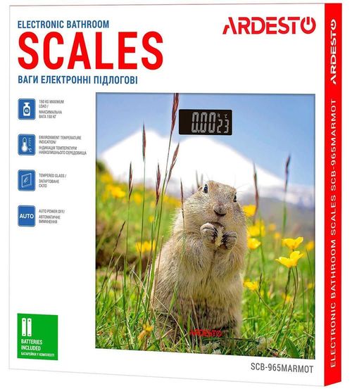 купить Весы напольные Ardesto SCB-965MARMOT в Кишинёве 