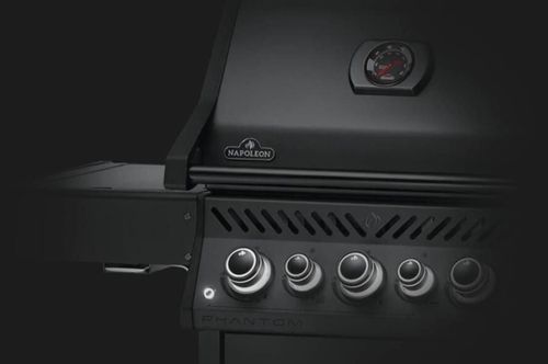 cumpără Grătar Napoleon Gratar pe gaz Freestyle 425 negru cu arzator infrared (FP425DSIBPK-1-CZ) în Chișinău 