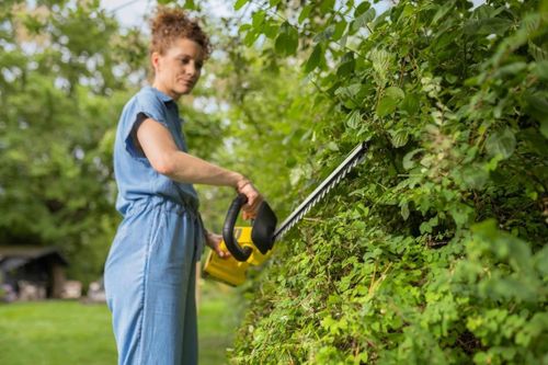 cumpără Foarfece pentru arbuști Karcher 1.445-601.0 HGE 2-18 Battery Set în Chișinău 