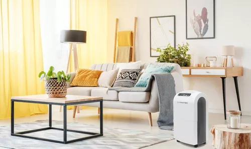 cumpără Dezumidificator de aer Trotec TTK100E în Chișinău 