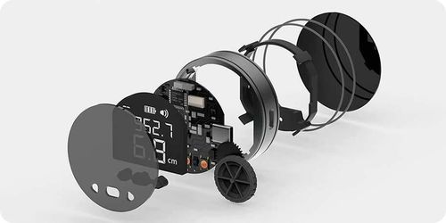 купить Рулетка Atuman by Xiaomi Mini Q Electronic Ruler в Кишинёве 