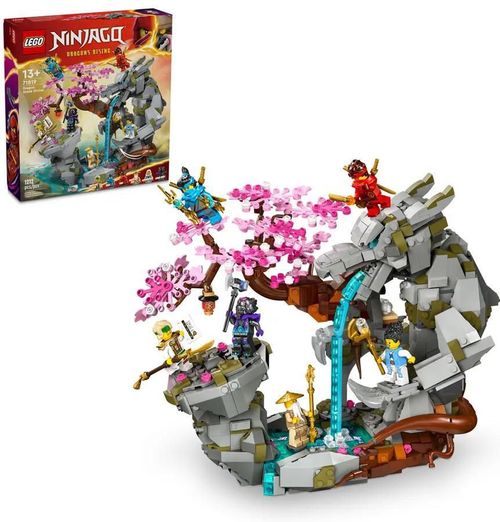 cumpără Set de construcție Lego 71819 Dragon Stone Shrine în Chișinău 