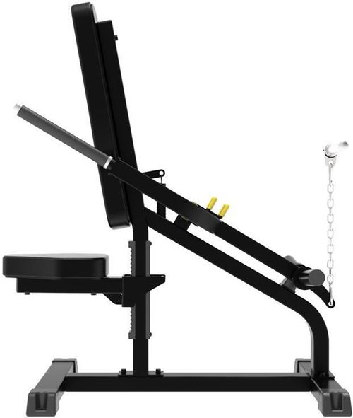cumpără Banca pentru antrenament de forţă Impulse 54758 Biceps/Trips IFP1706 în Chișinău 