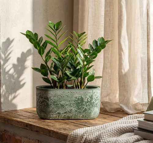 купить Цветочный горшок Idea М3274 Mikrit, 385x180mm, 6L, ovală в Кишинёве 