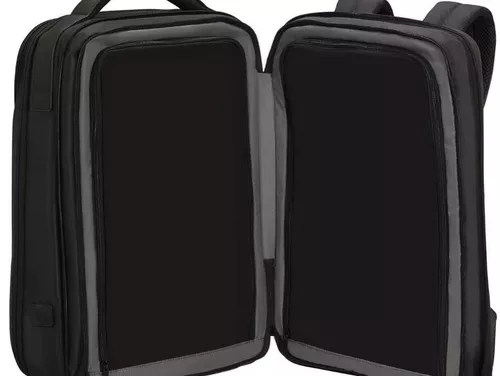 купить Рюкзак для ноутбука Samsonite Litepoint (134550/1090) в Кишинёве 