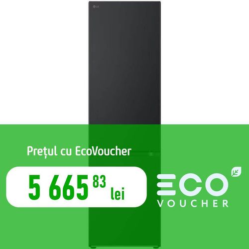 купить Холодильник с нижней морозильной камерой LG GBV5240DEP в Кишинёве 