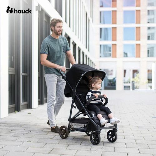 cumpără Сărucior pentru copii Hauck Rapid 4 Grey în Chișinău 