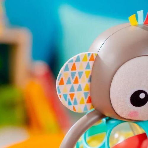 купить Погремушка Bright Starts 16779 Jucarie multi-senzoriala Grab&Giggle Monkey в Кишинёве 