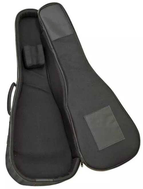 cumpără Accesoriu p/u instrumente muzicale Aria ABC-300 EB BK Husa Chitara în Chișinău 