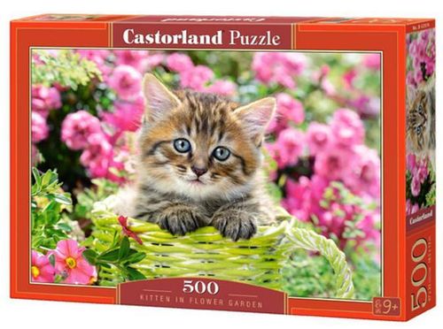 купить Головоломка Castorland Puzzle B-52974 Puzzle 500 elemente в Кишинёве 