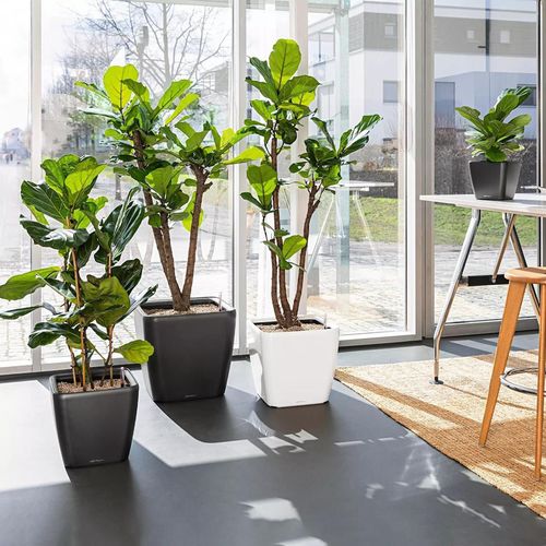 купить Цветочный горшок Lechuza Quadro Premium 50 LS All In One Charcoal в Кишинёве 