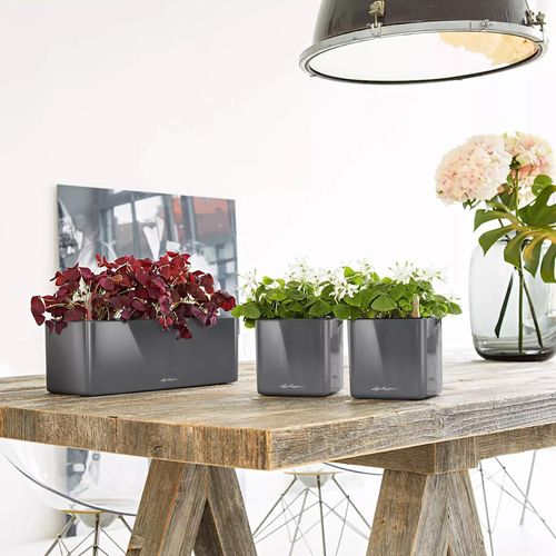 cumpără Ghiveci pentru flori Lechuza Cube Triple, Glossy White în Chișinău 