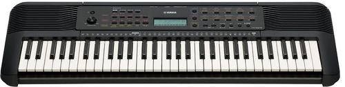купить Цифровое пианино Yamaha PSR-E273 (+ Power Supply) в Кишинёве 
