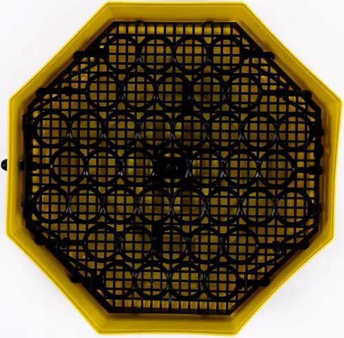 купить Товар для животных Technoworker Incubator cu dispozitiv de intoarcere oua CLEO 5D/INC2 (84362100) в Кишинёве 