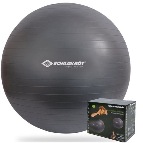 купить Мяч Donic SL-00013825 Minge gimnastica cu pompa d=85cm Schildkrot 960158 в Кишинёве 