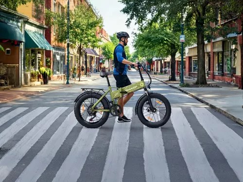 cumpără Bicicletă Sharp BK-FS08E-GY în Chișinău 