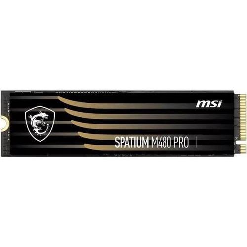 купить Накопитель SSD внутренний MSI Spatium M480 PRO в Кишинёве 