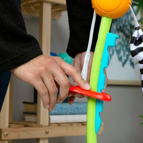 cumpără Leagăn pentru bebeluși Baby Einstein 13094 Centru de activitati cu jucarie electronica Curiosity Cove în Chișinău 