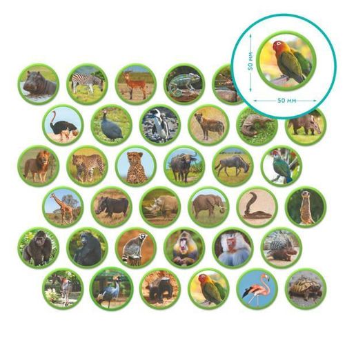 купить Настольная игра Dodo 200284 Joc magnetic Animalele Africii, 36 elem в Кишинёве 