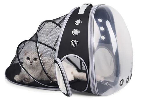 купить Переноска для животных Jumi CD-281295 Rucsac pentru animale de companie, Negru в Кишинёве 