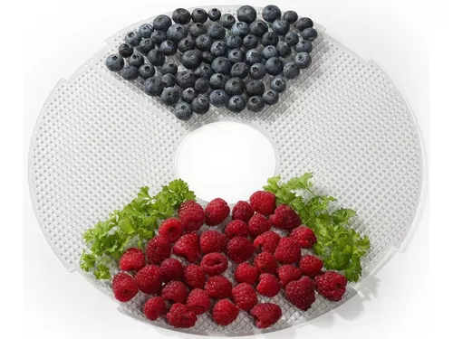 купить Сушка для фруктов Gorenje FDK500GCW в Кишинёве 