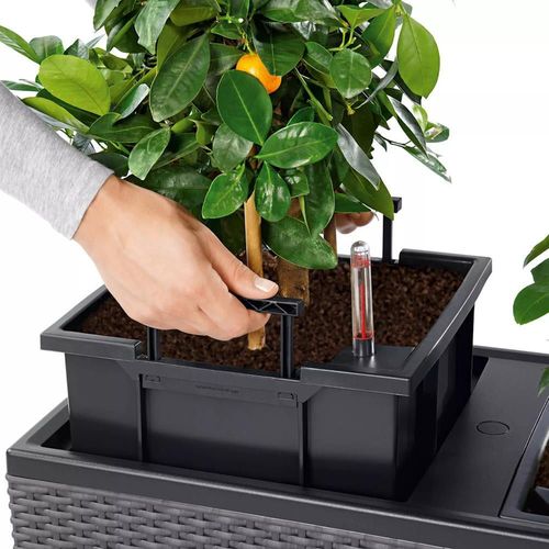 купить Цветочный горшок Lechuza Trio Cottage 40, White в Кишинёве 