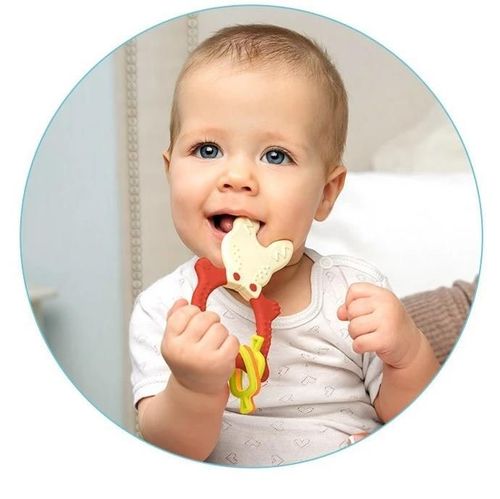 cumpără Iinel dentiție Roxy Kids RBT-001R BUNNY, коралловый în Chișinău 