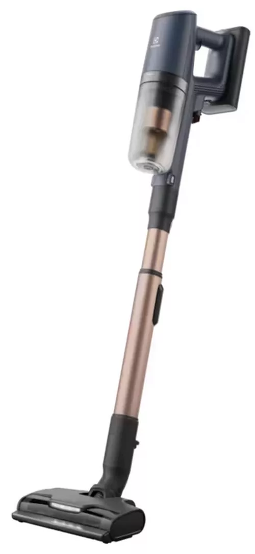 купить Пылесос беспроводной Electrolux EP82H25WET в Кишинёве 