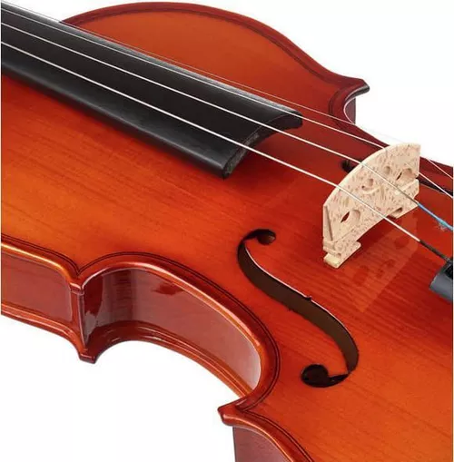 купить Скрипка Fidelio Student Violin Set ½ в Кишинёве 