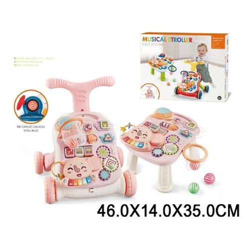 cumpără Premergător Richi (40381) Premergator cu activitati pe baterii 2in1 în Chișinău 