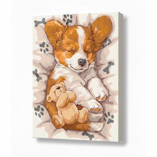 купить Картина по номерам Ideyka KHO6617 30x40cm Eco, Corgi somnoros в Кишинёве 