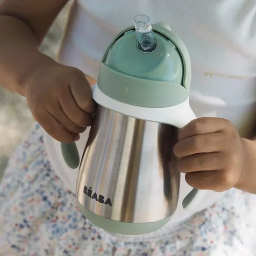 cumpără Cană cu pai Beaba B913535 Cana cu pai din inox 250 ml Sage Green în Chișinău 