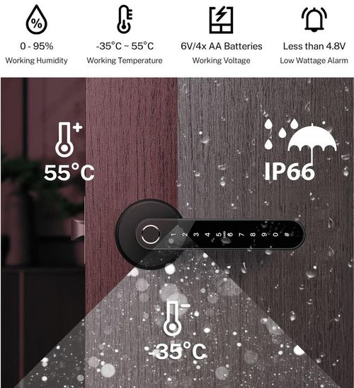 cumpără Lacat inteligent TTLock N31 Sliver без замка în Chișinău 