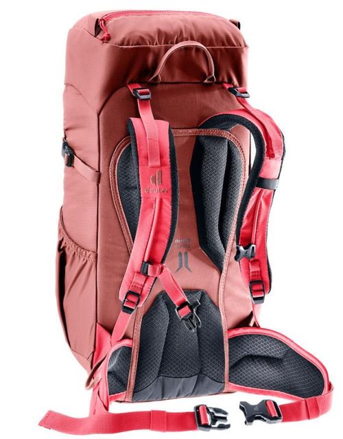 cumpără Rucsac turistic Deuter Climber 22 redwood-hibiscus în Chișinău 