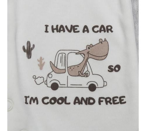 купить Детская одежда Minikin 231740356 Комбинезон CARS 56см в Кишинёве 