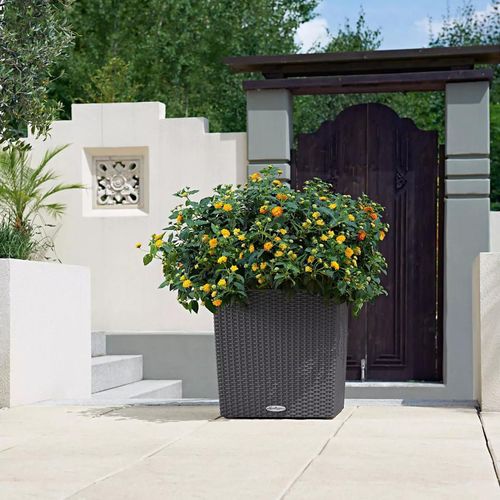 купить Цветочный горшок Lechuza Cube Cottage 40, White в Кишинёве 