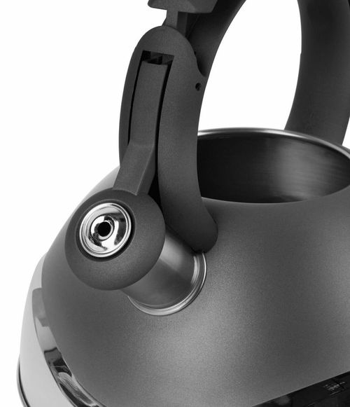 купить Чайник Tadar Elia Grey 3L в Кишинёве 