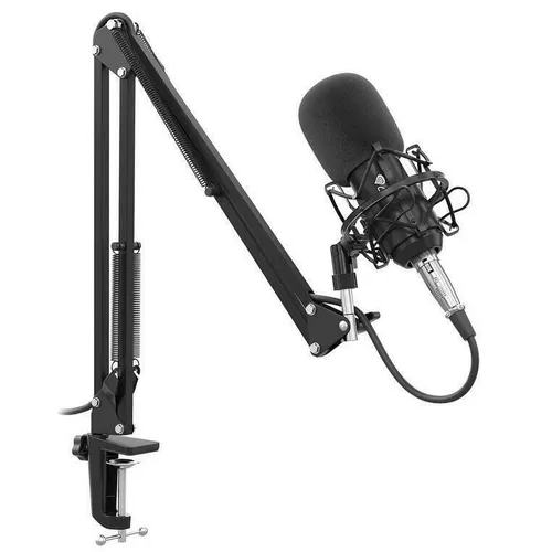 купить Микрофон Genesis NGM-1695/Radium 300 Studio в Кишинёве 