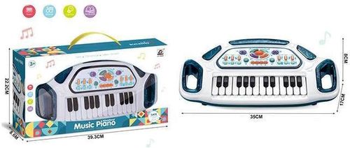 купить Музыкальная игрушка Richi (42112) пианино на батарейках в Кишинёве 