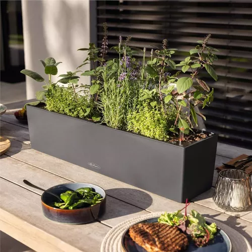 cumpără Ghiveci pentru flori Lechuza Balconera Color 80, Slate în Chișinău 