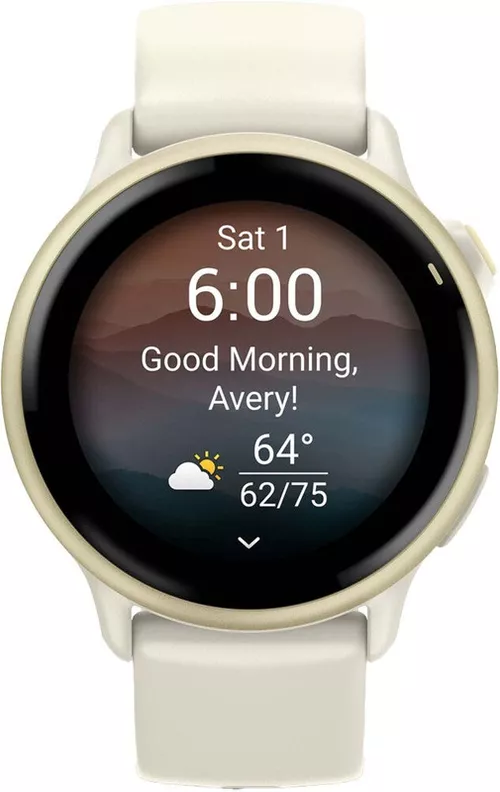 cumpără Ceas inteligent Garmin Vivoactive 6 Bone / Lunar Gold în Chișinău 