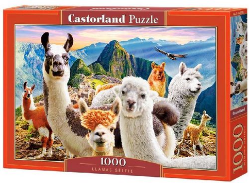 купить Головоломка Castorland Puzzle C-104758 Puzzle 1000 elemente в Кишинёве 