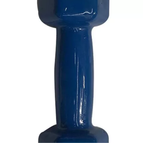 купить Гантель sport LXI7252 Ganteră pentru fitness,1 buc x 1,5 kg в Кишинёве 