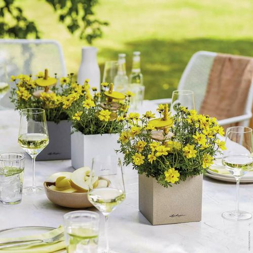 cumpără Ghiveci pentru flori Lechuza Canto Stone 14, Quartz White în Chișinău 