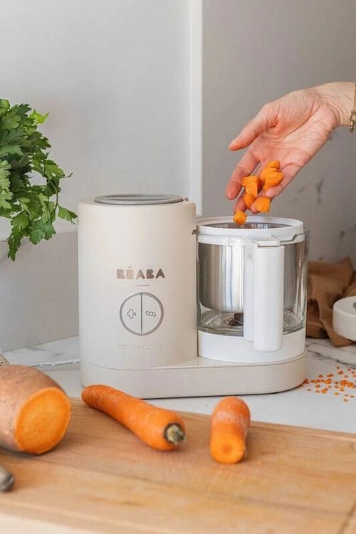 купить Пароварка-блендер Beaba B916719 Robot Babycook Neo Clay в Кишинёве 